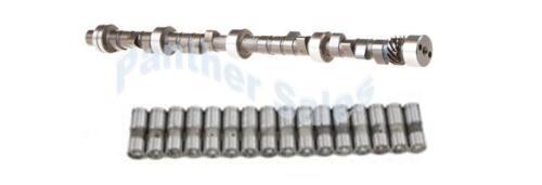 Buick Nailhead 364 401 425 Stock Camshaft Cam Lifter Kit 16 Lifters 1957-66